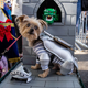 Image for article titled io9 Annual Costume Show: Happy Halloween!